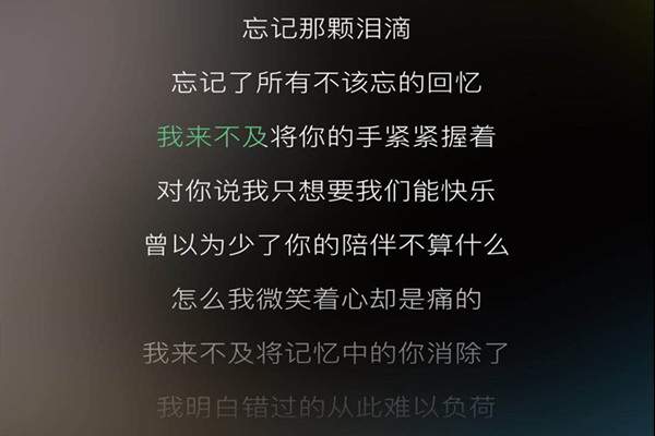 我来不及将你的手紧紧握着是哪首歌 歌名和歌词这里都有