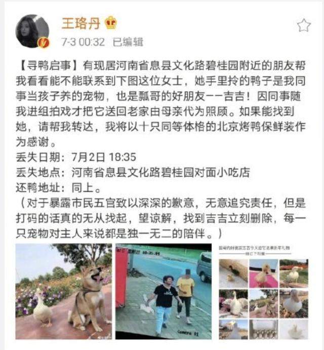 王珞丹同事的鸭子被偷了，这可不是一般鸭！宠物市场新奇多