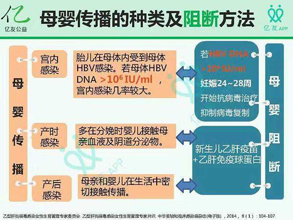 乙肝，一种“沉默”的流行病，中国现有乙肝病毒携带者约7000万人