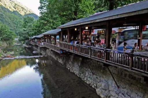 新华社记者：临安这个山村很夏天