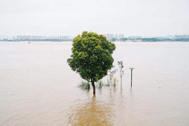 南京OK，坐等水退