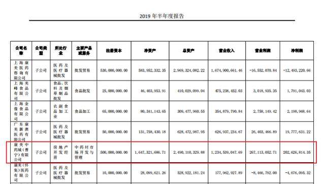 康美药业实控人被抓背后：“消失”的项目与蹊跷的营收