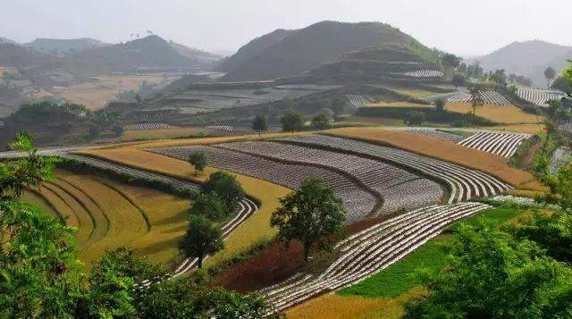 河南有一小乡镇，一年四季都适宜旅游，不收门票，就在洛阳