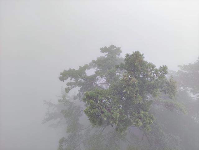 风雨交加的老君山之旅