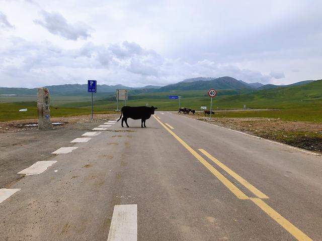 四天暴骑 独库公路