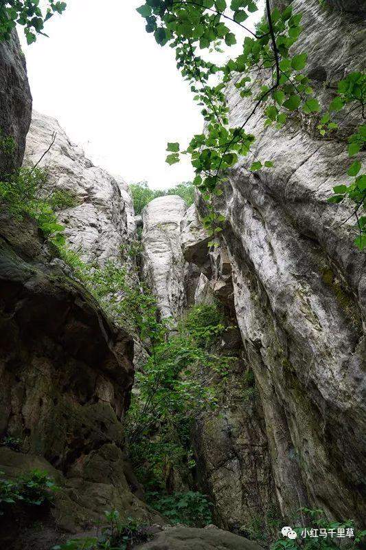 中岳嵩山行记（一）——少林寺、少室山