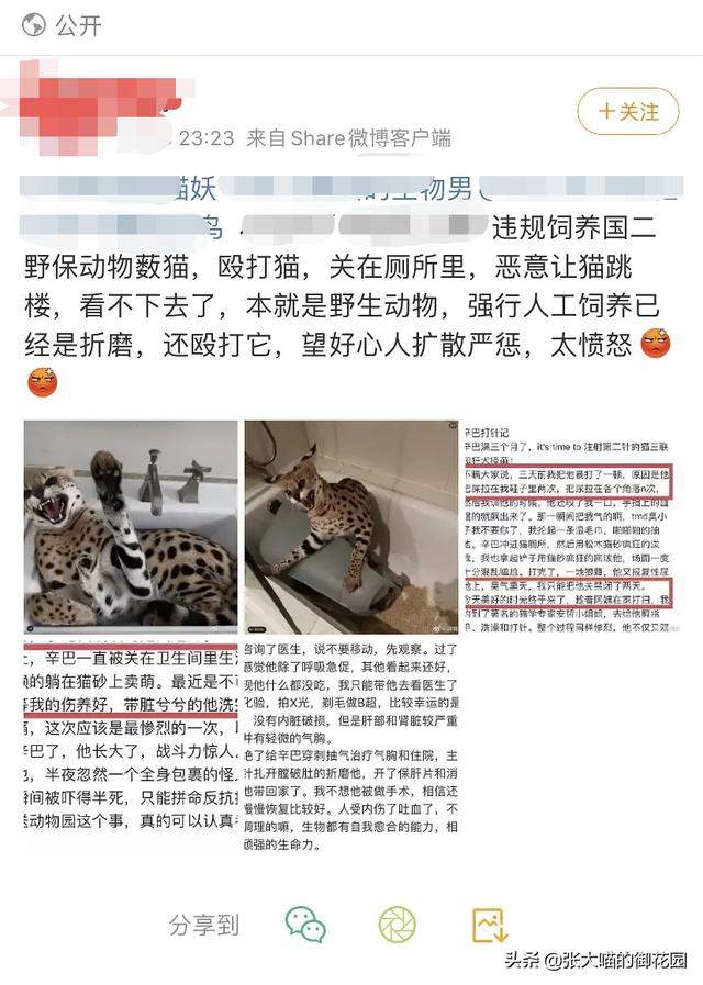 上海男子花5万元吸猫却被拘留！这样的猫你敢吸吗？