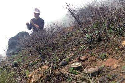 高手在民间！农民用一把镰刀排了一万多颗地雷，只为有田地可以种