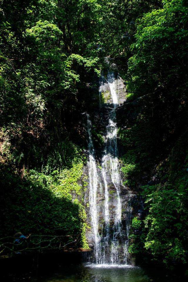 广西柳州最值得去的4A景区，以原始深山野林探险为特色，你想去吗