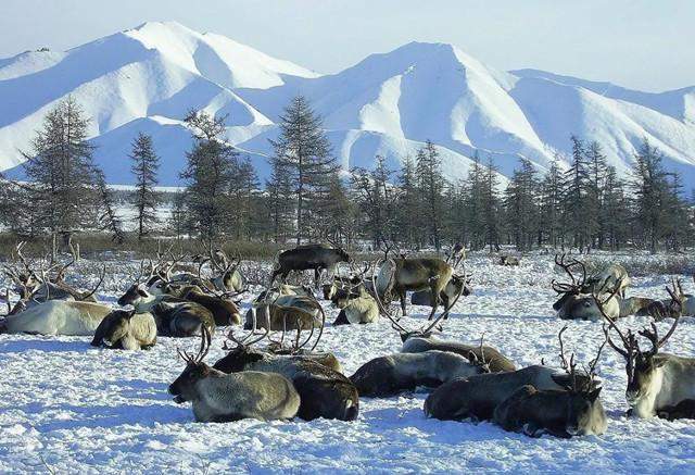 世界上最冷地区，气温零下50度，500多居民衣食住行令人大开眼界