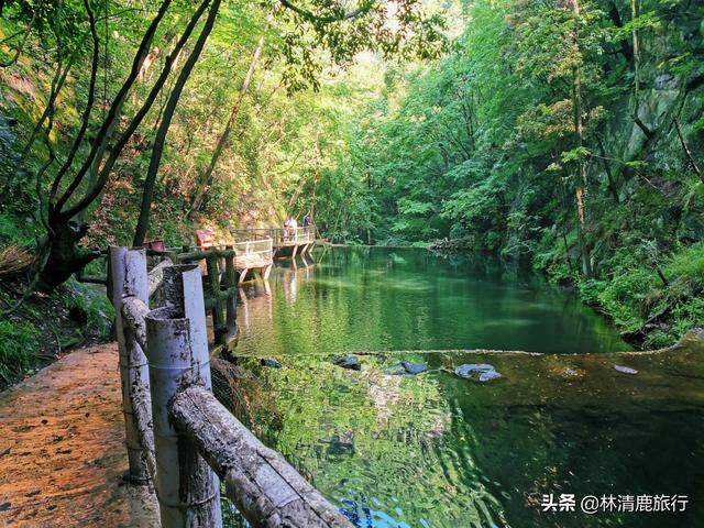 河南这个冷门景区，老子看中在此隐居，空气好适合老人