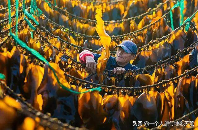 浙江有座宜人的海滨小城，925公里藏着608座海岛