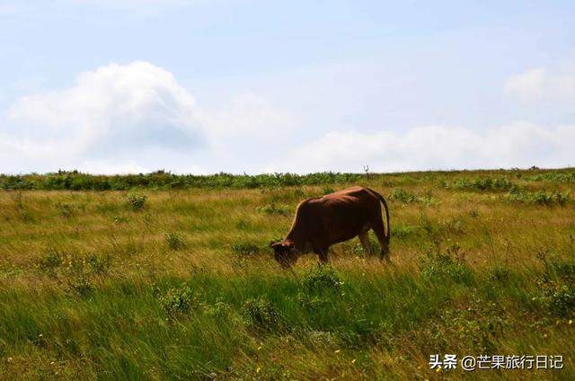 贵州有个县，距离贵阳150公里，名气不大却拥有两处世界之最景点