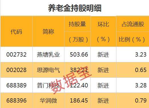 国家队重仓股曝光！社保、养老金同时盯上两股，包括半导体龙头股