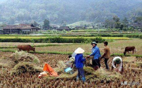 老兵重返越南，寻访昔日战场：泥巴房没变，村寨多陵墓