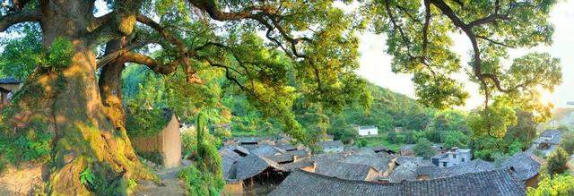 夏日，松阳三天两晚这样玩，附路线