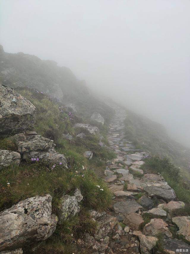 南北穿越太白山，上了拔仙台看到了壮观的云海，实在是不虚此行