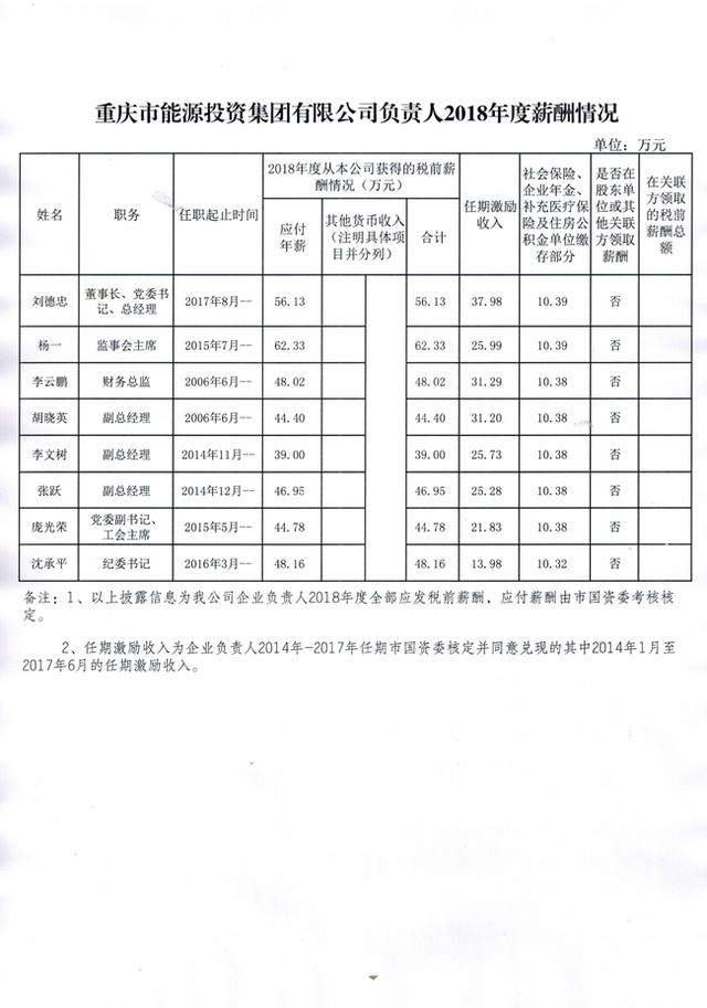 重庆市能源投资集团负责人（领导班子成员）年度薪酬情况