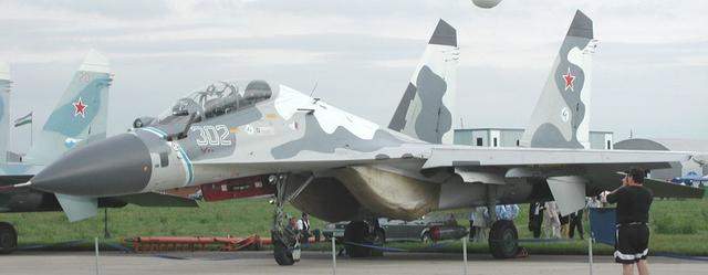 Сухой Су-30/Sukhoi Su-30系列多用途战斗机——综述