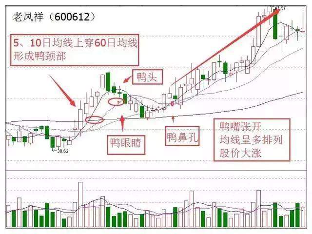 北大女博士罕见发言：全世界股票都是T+0，为何中国股市是T+1？