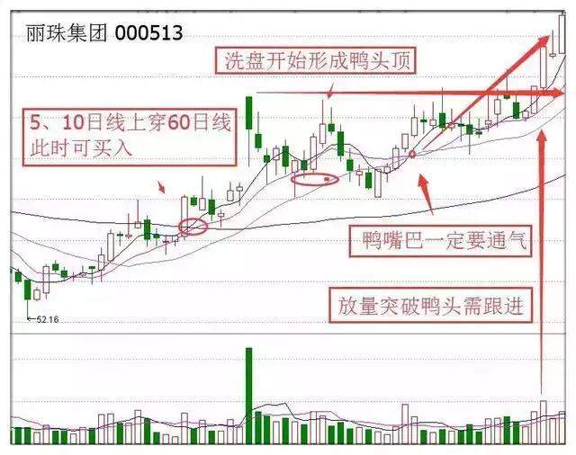 北大女博士罕见发言：全世界股票都是T+0，为何中国股市是T+1？