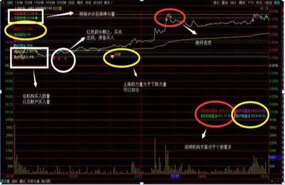 我在3年内把5万本金做到了150万：只因反复死记“半仓一只股，正反不断T”，几乎吃透短线全部波动