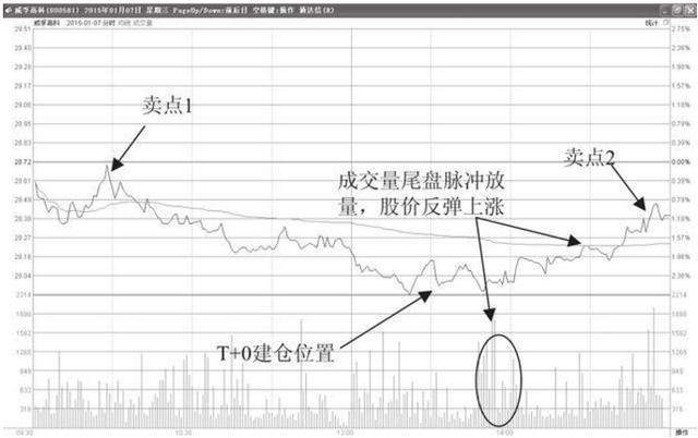 北大女博士罕见发言：全世界股票都是T+0，为何中国股市是T+1？