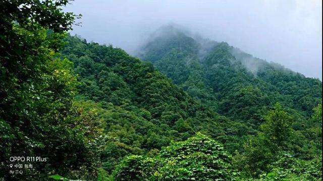 陇南康县 ￨ 一个不要门票的天然大景区