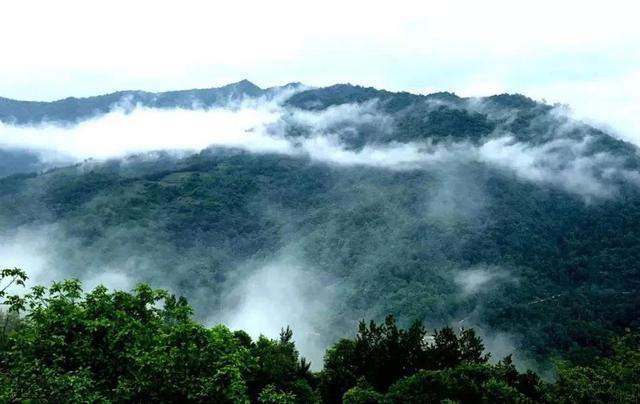 陇南康县 ￨ 一个不要门票的天然大景区