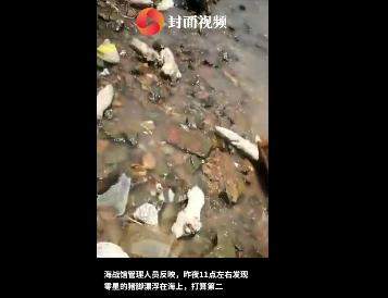 每经15点丨东莞海滩出现大量猪蹄和不明动物内脏，警方已介入；中国电信携手国家电网、华为建成国内最大规模5G智能电网