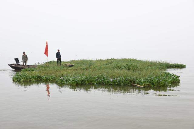 湖北第一大湖洪湖的水灾之困