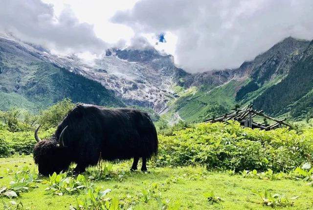 国家通知我出门旅行了