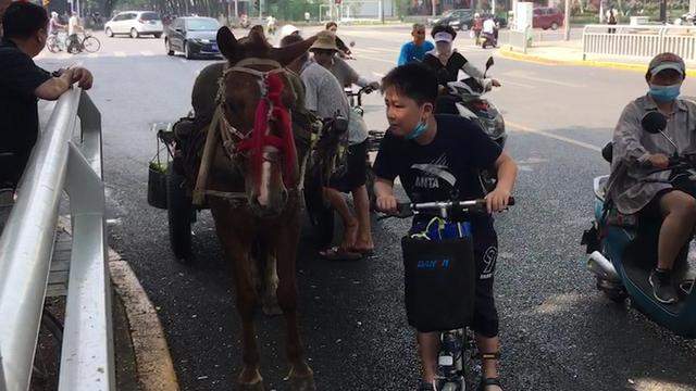 老汉驾“宝马”进城卖玉米 引来众多市民围观