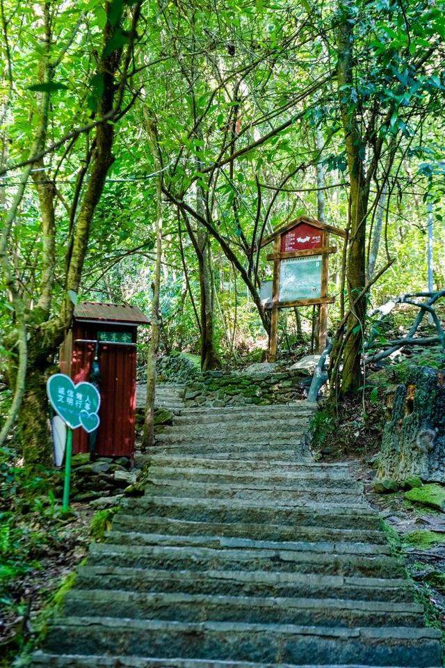 广西柳州最值得去的4A景区，以原始深山野林探险为特色，你想去吗