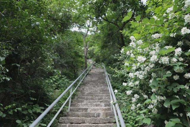 河南嵩山的景色在五岳中能排第几？让我们徒步去看一看