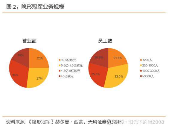 寻找 A 股中的“隐形冠军”：哪些小市值标的有望长大？