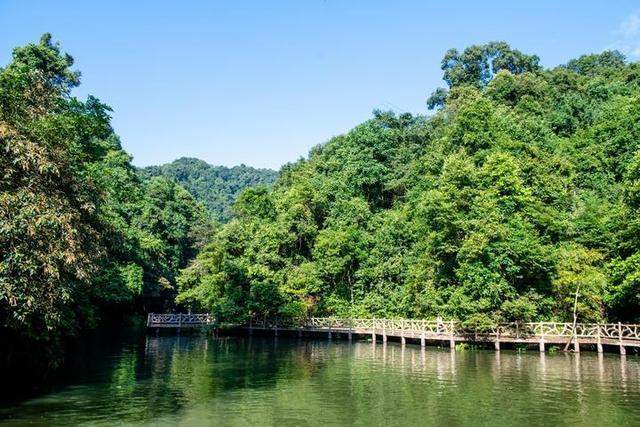 广西柳州最值得去的4A景区，以原始深山野林探险为特色，你想去吗