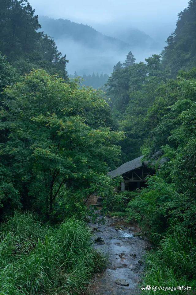 雨季江南，最美不过青山中的景德镇