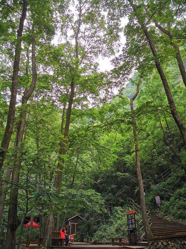 25度的夏天，洛阳这个最年轻的4A景区，有着“中原最美瀑布群”