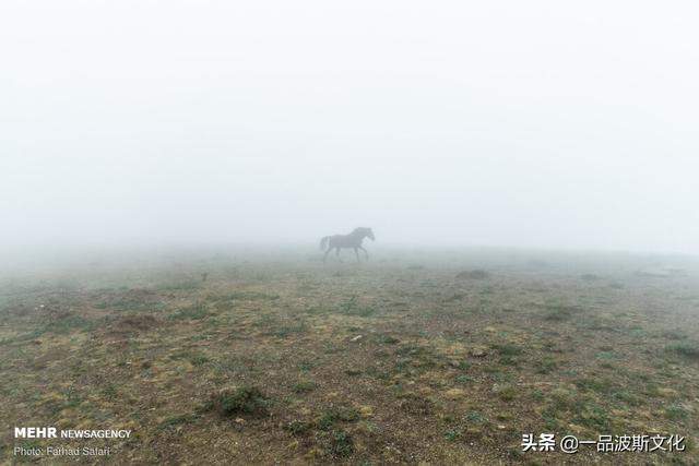 伊朗北方天然牧场，不仅牛羊肥沃，也是度假和避暑之处