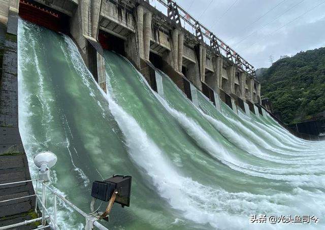 千岛湖泄洪有机鱼每天“跑路”100万斤，钓鱼人：16号线组已备好