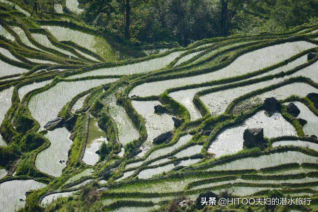 自驾云南元阳7天，走遍了所有景区梯田，我们总结了这些经验攻略