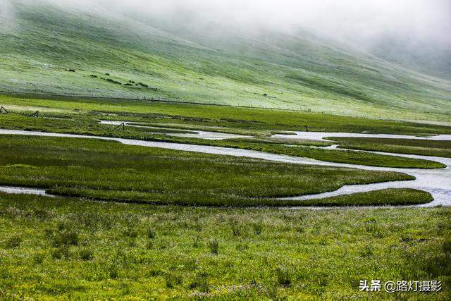 惊艳！八月最佳旅行地，“绝色甘南”美成仙境，所有景区免门票