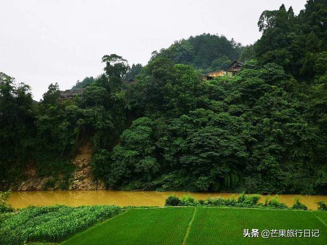 贵州大山，遇到一个女孩，欲将“空村”变景点，跟芒果一起去看看