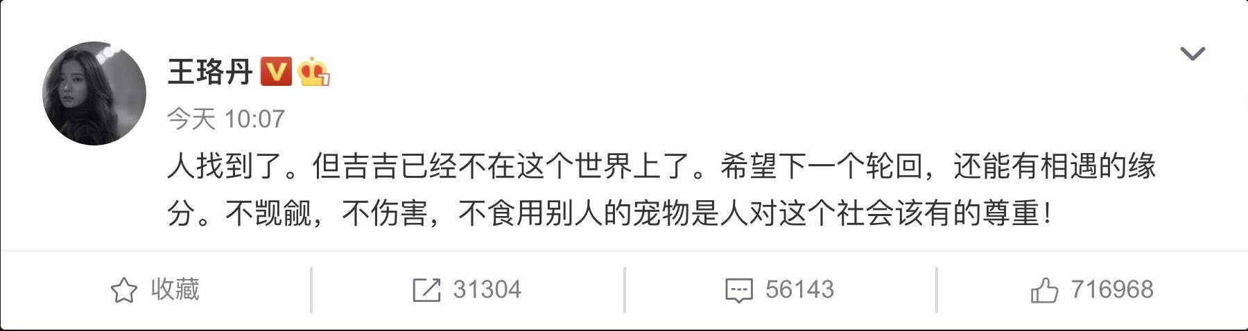 王珞丹同事的鸭子被偷了，这可不是一般鸭！宠物市场新奇多