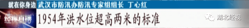 注意！洪峰将在2至3天内抵达武汉！武汉关水位预计超过……