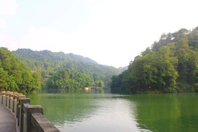 璧山发现“水中大熊猫”桃花水母，传说它是昭君之泪，生于桃花开时，花落后消失无踪