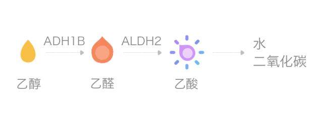 过年的酒桌，是真正的健康屠宰场