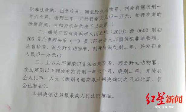 “江西鹦鹉案”二审改判缓刑 当事人：现在很矛盾