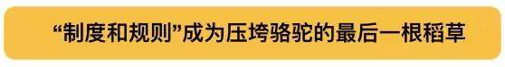 中国飞行学员在美自杀，被曝生前遭学校歧视、压迫、威胁